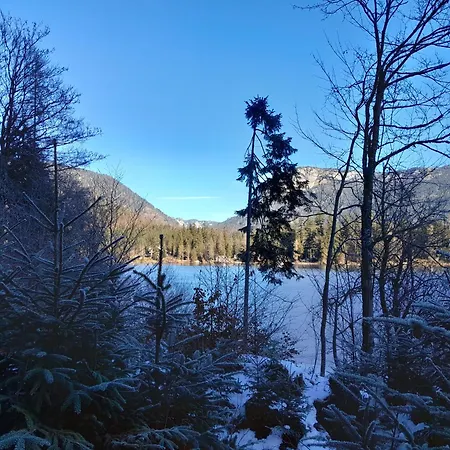 公寓 Rango 巴德米滕多夫