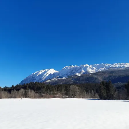 Rango * 巴德米滕多夫