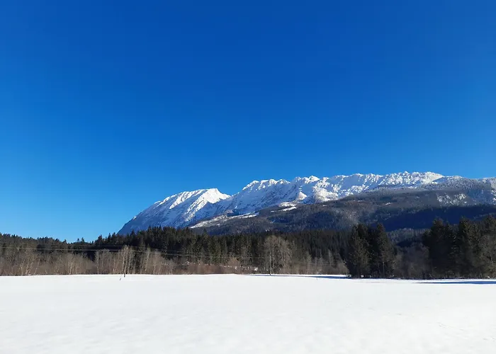 Rango * 巴德米滕多夫