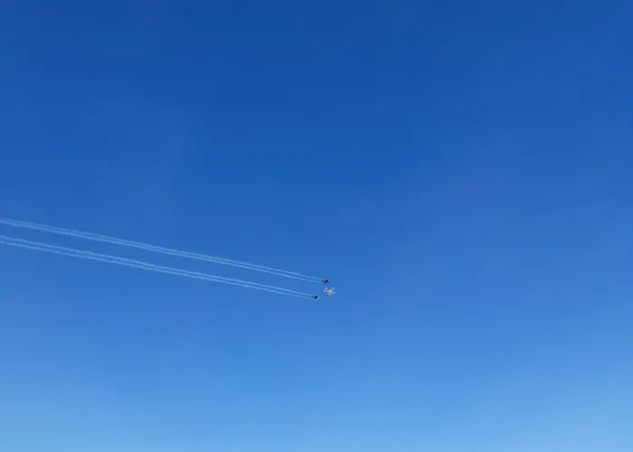 Rango * 巴德米滕多夫