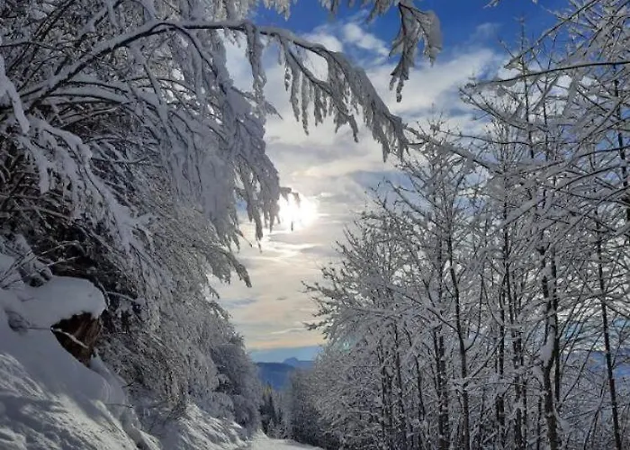 Lejlighed Rango Bad Mitterndorf